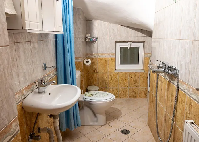 Chelidonia 阿凡投