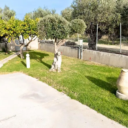 Chelidonia Nyaraló *