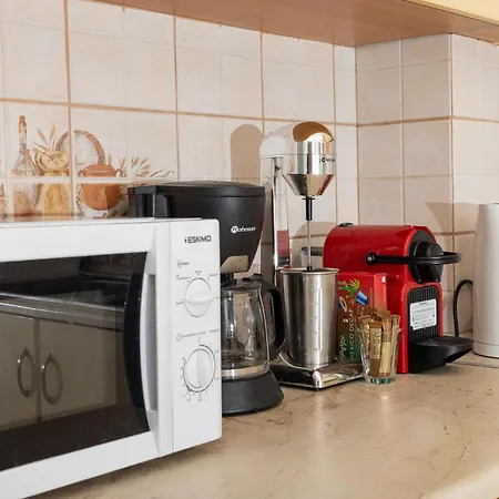 Chelidonia Nyaraló *