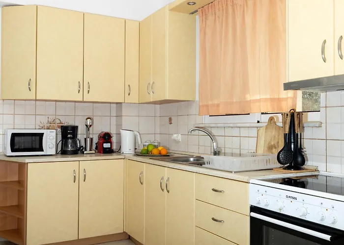 Chelidonia Nyaraló *